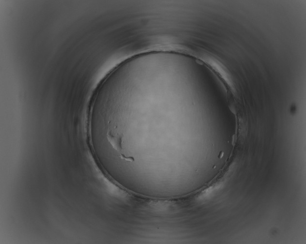 X0000093521046200710191328