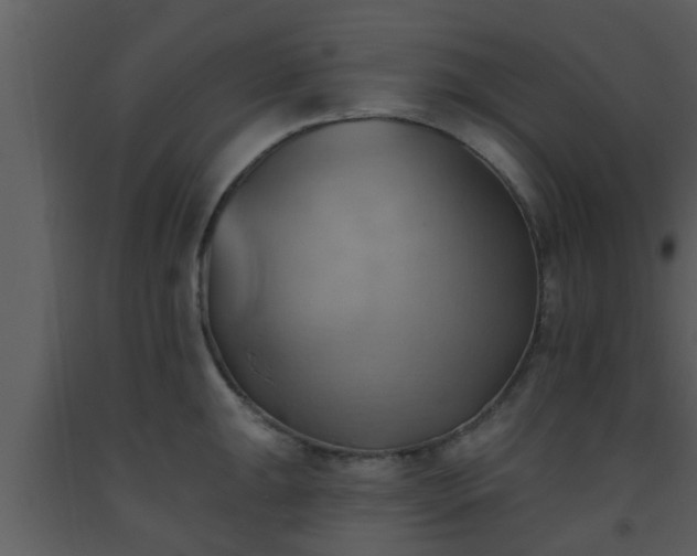 X0000093521047200710191328