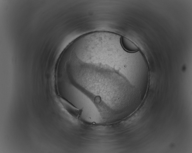 X0000093521048200710191328