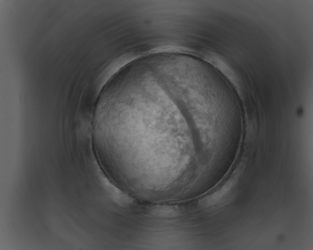 X0000093521049200710191328