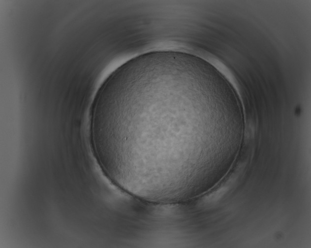 X0000093521053200710191328