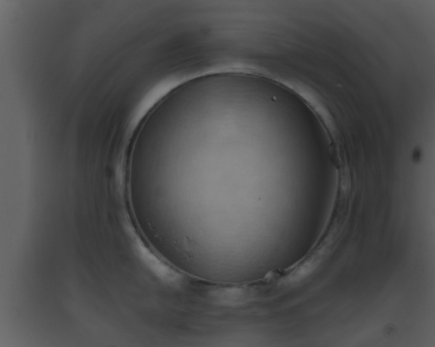 X0000093521054200710191328