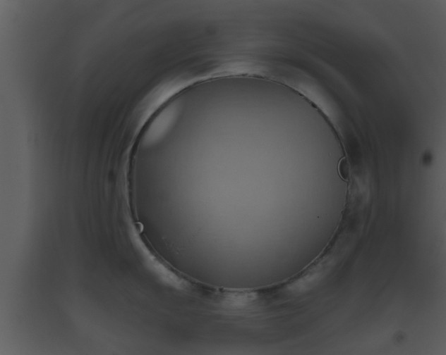 X0000093521055200710191328