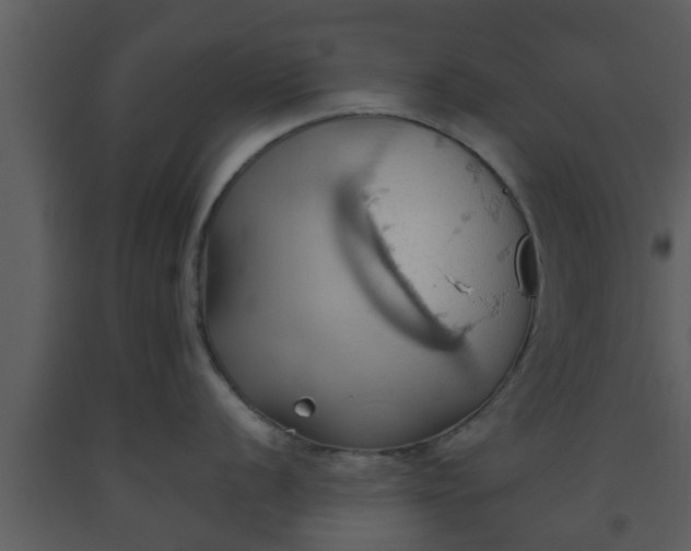 X0000093521056200710191328