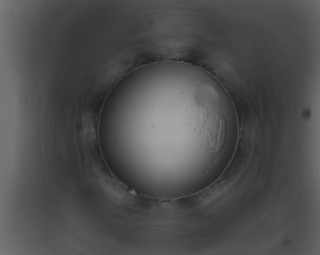 X0000093521058200710191327