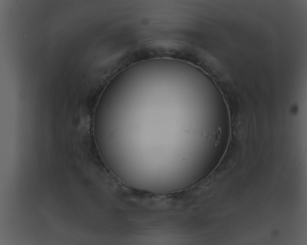 X0000093521061200710191327