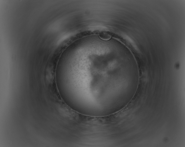 X0000093521063200710191327