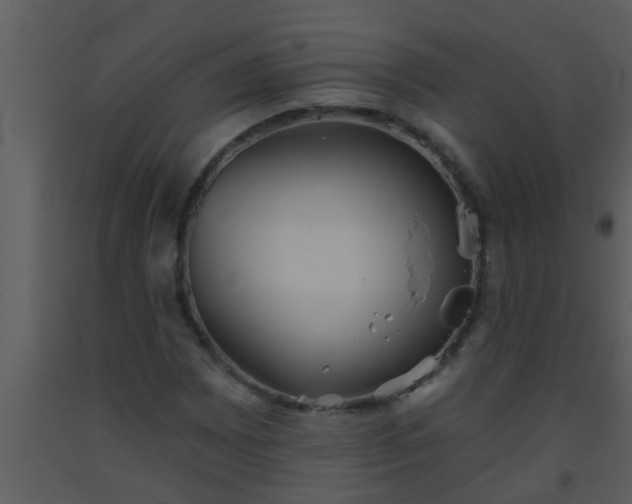 X0000093521065200710191327