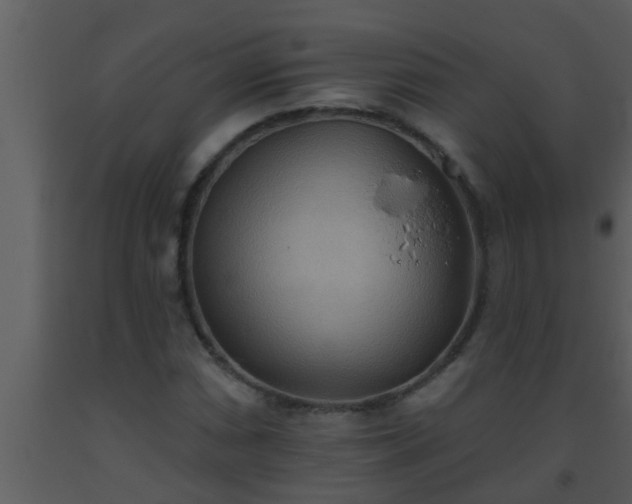 X0000093521066200710191327