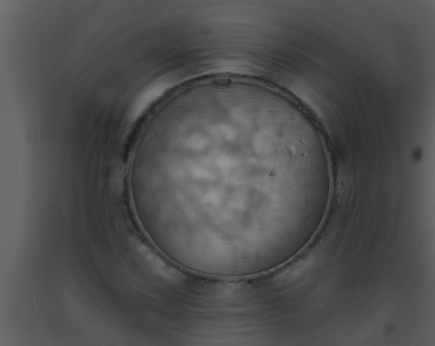 X0000093521067200710191327