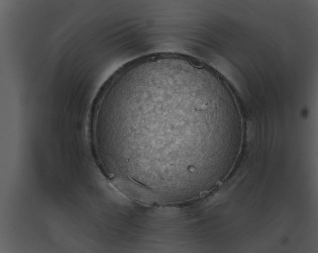 X0000093521068200710191327