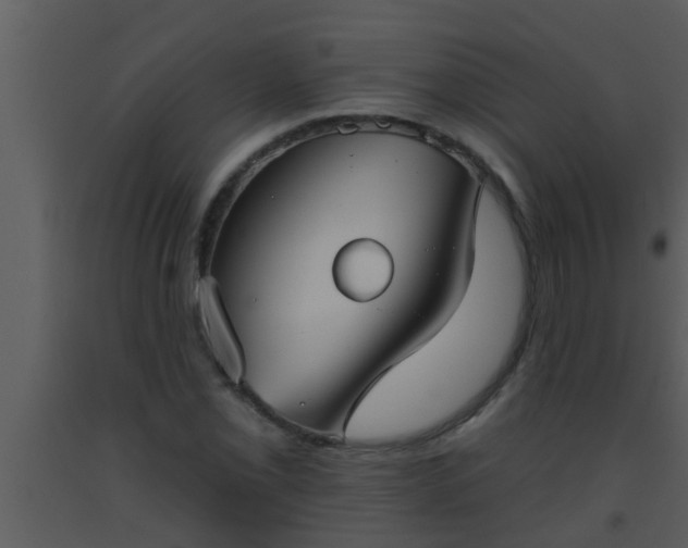 X0000093521069200710191327