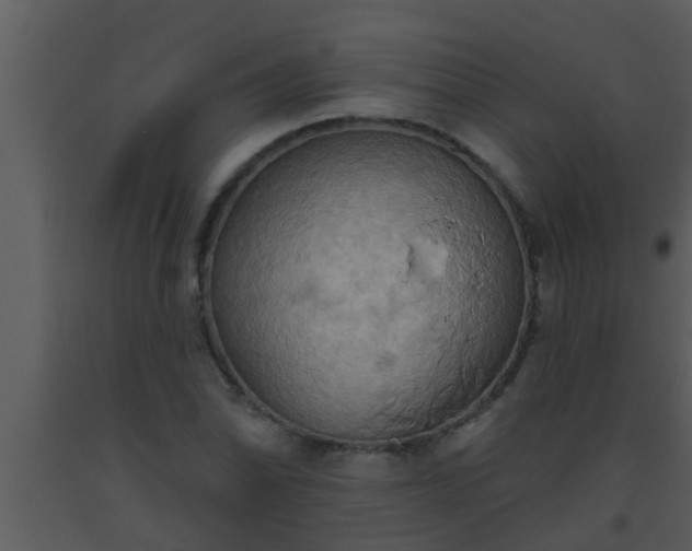 X0000093521070200710191327