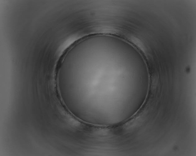X0000093521071200710191327