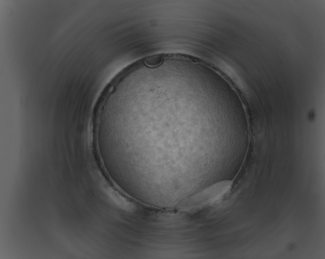 X0000093521076200710191327