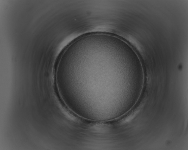 X0000093521077200710191327