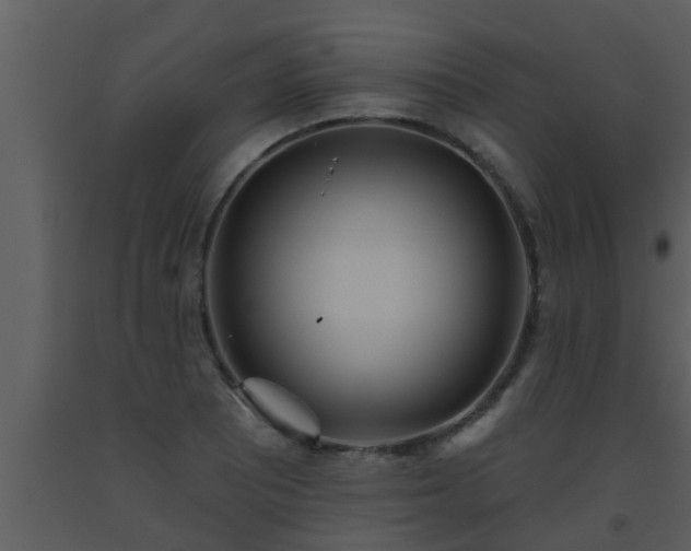 X0000093521081200710191327