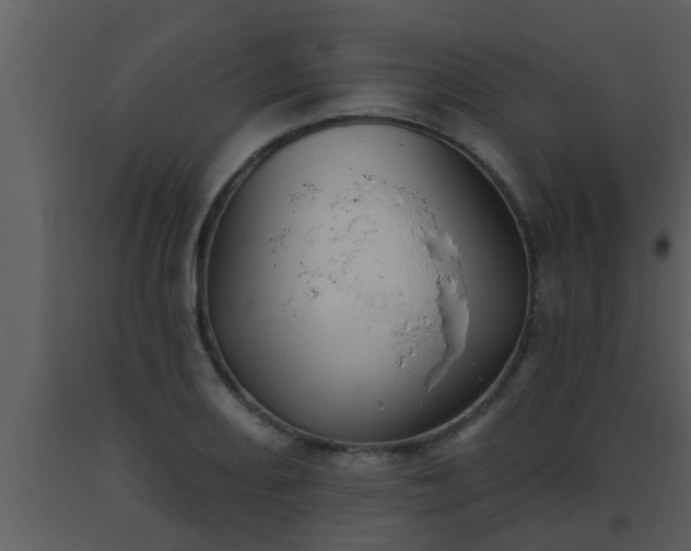 X0000093521082200710191327