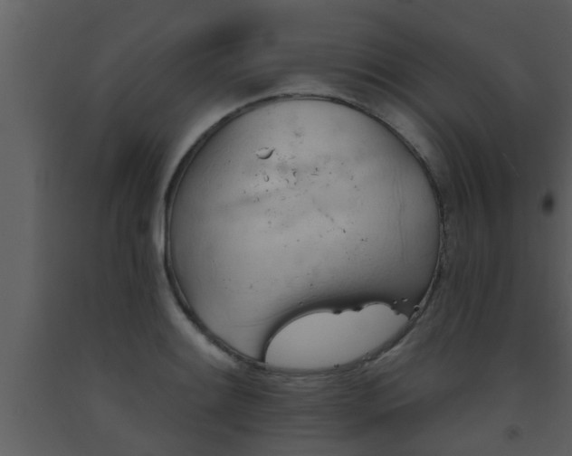 X0000093521084200710191327