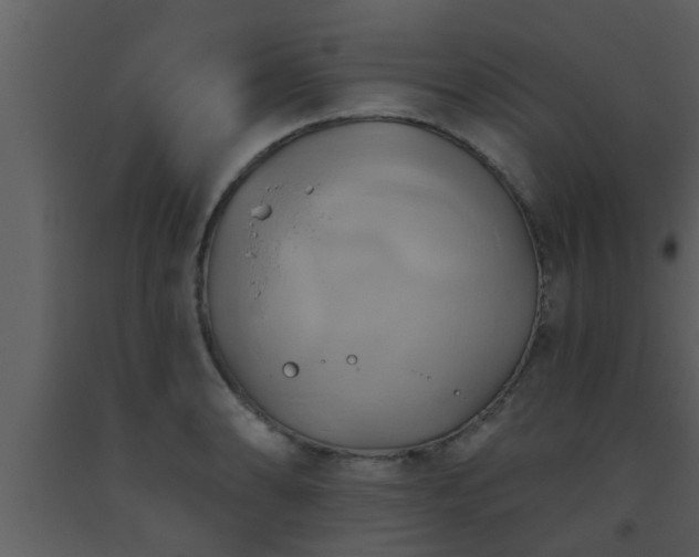 X0000093521086200710191327