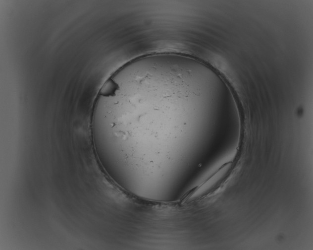 X0000093521089200710191327