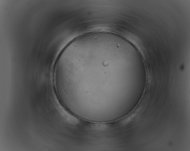 X0000093521090200710191327