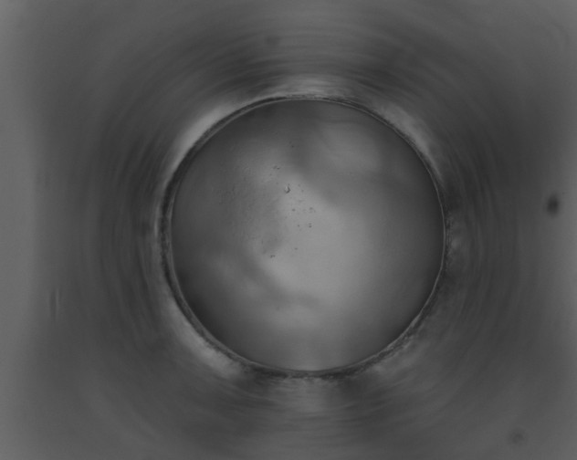 X0000093521091200710191327