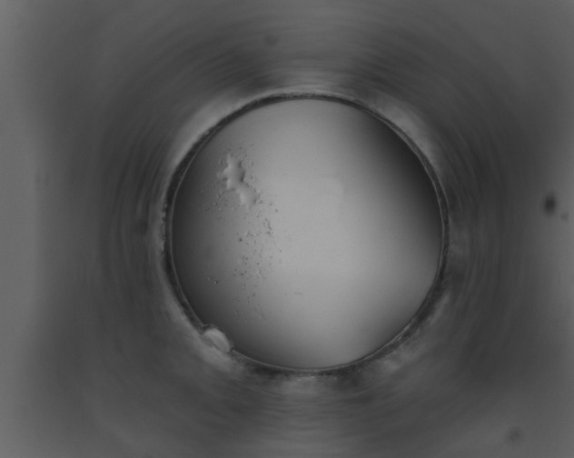 X0000093521093200710191327