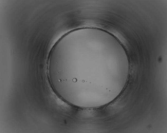 X0000093521094200710191327