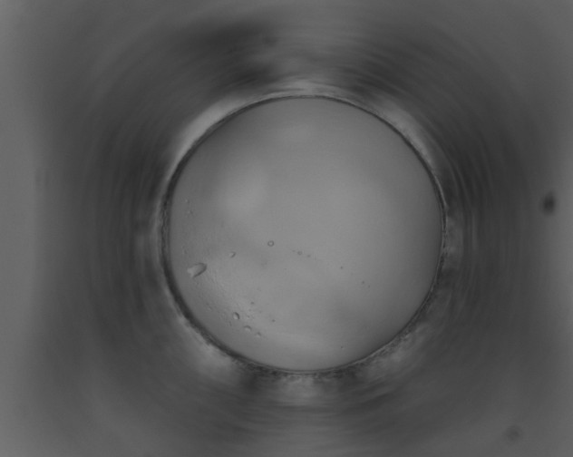 X0000093521098200710191327