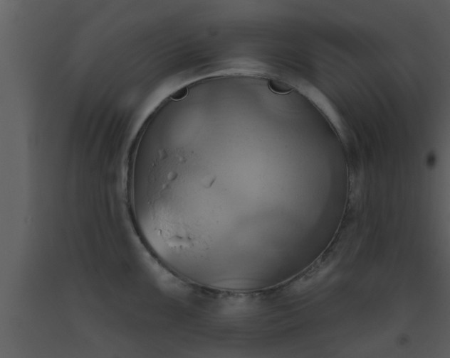 X0000093521099200710191327