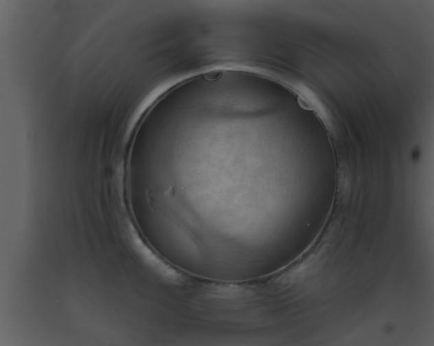 X0000093521100200710191327