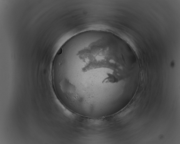 X0000093521103200710191327