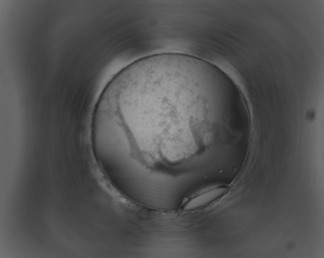 X0000093521104200710191327