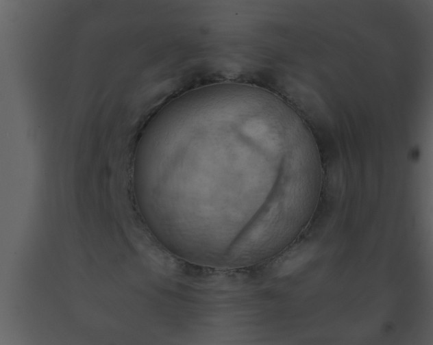 X0000093521105200710191326