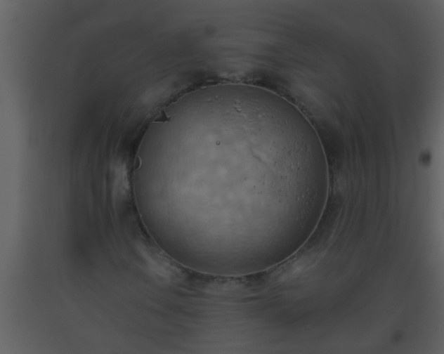 X0000093521106200710191326