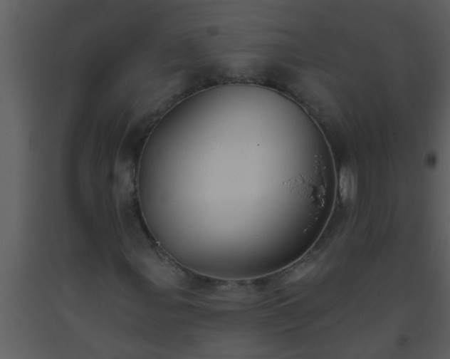 X0000093521107200710191326