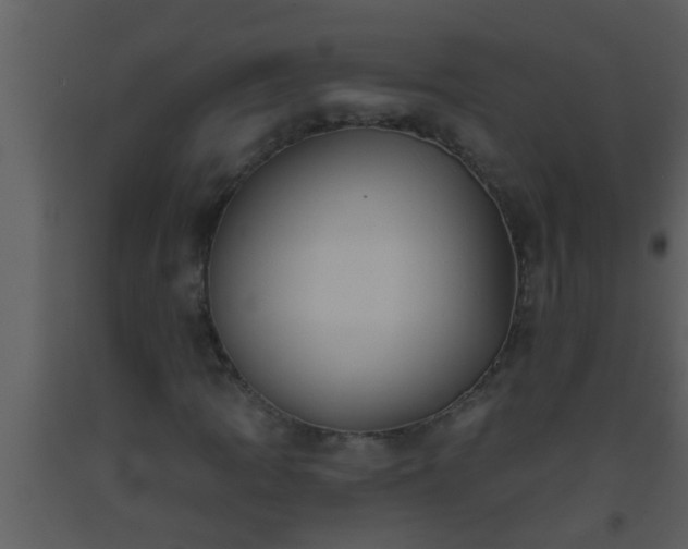 X0000093521109200710191326