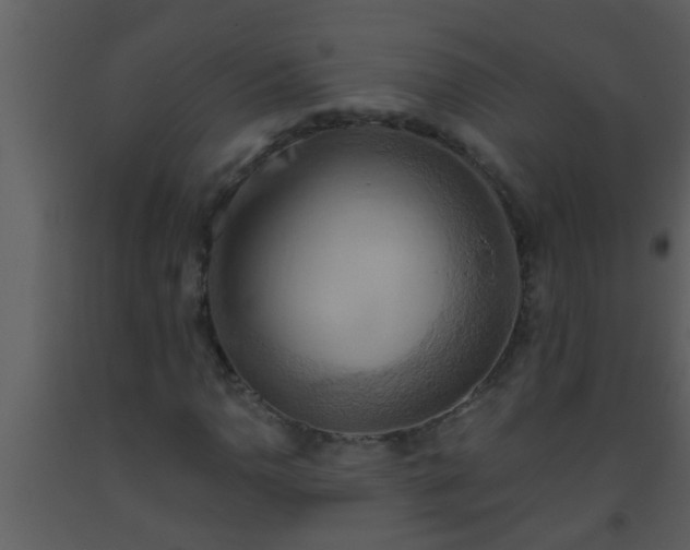 X0000093521110200710191326
