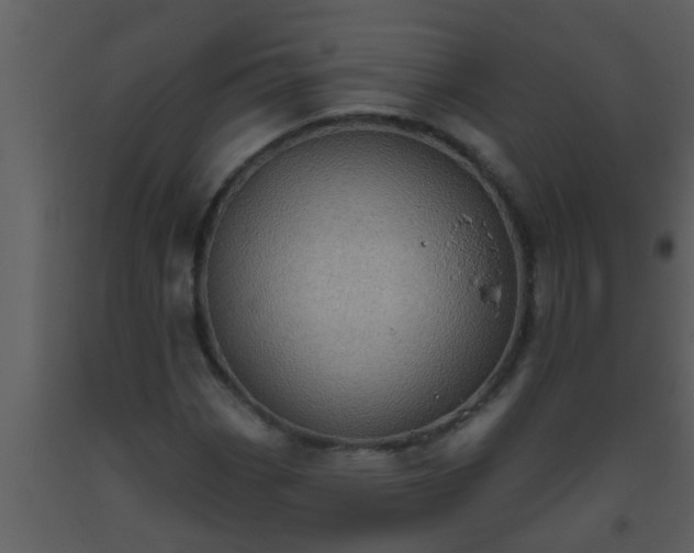 X0000093521113200710191326