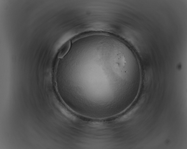X0000093521114200710191326