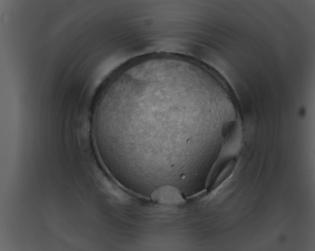 X0000093521115200710191326