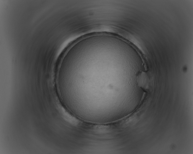 X0000093521116200710191326