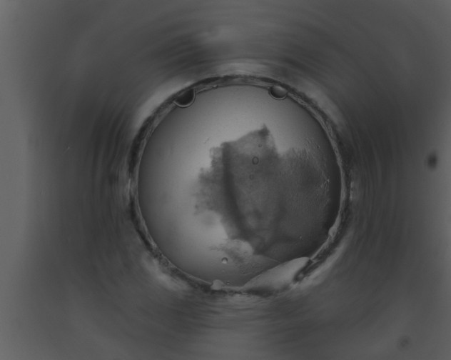 X0000093521117200710191326