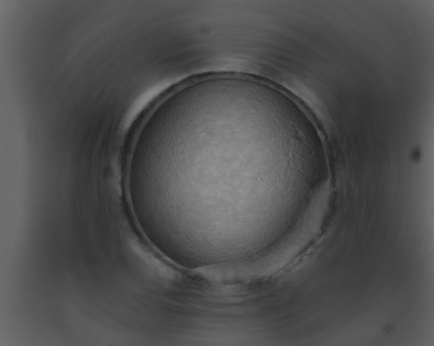 X0000093521120200710191326
