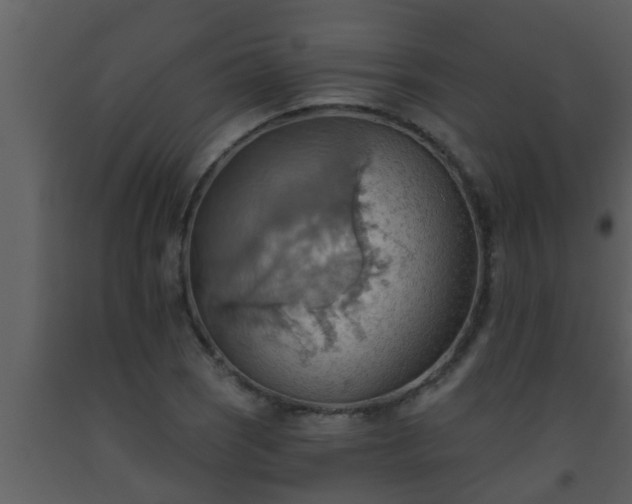 X0000093521121200710191326