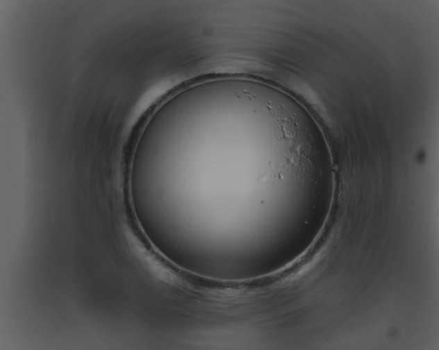 X0000093521122200710191326