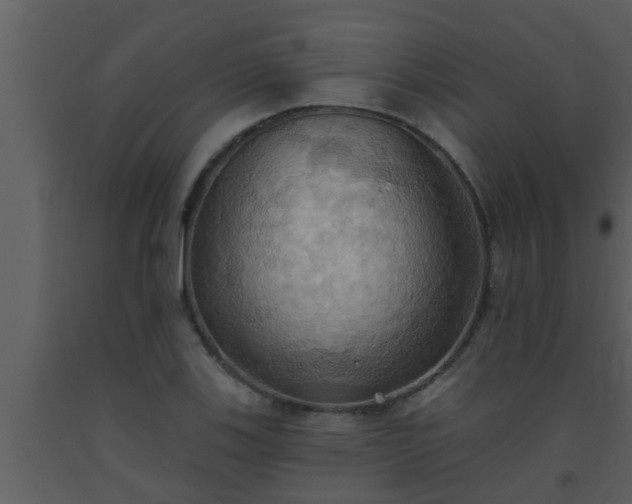 X0000093521123200710191326