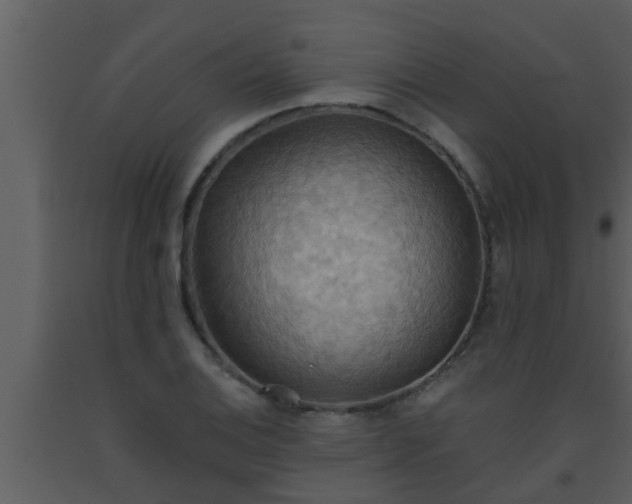X0000093521124200710191326