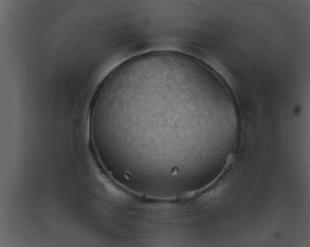 X0000093521127200710191326